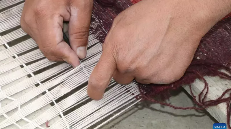 Afghans in carpet industry eyeing Chinese market to increase interaction (1)
